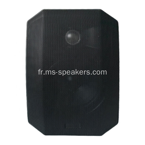 Enceinte suspendue murale de 100W